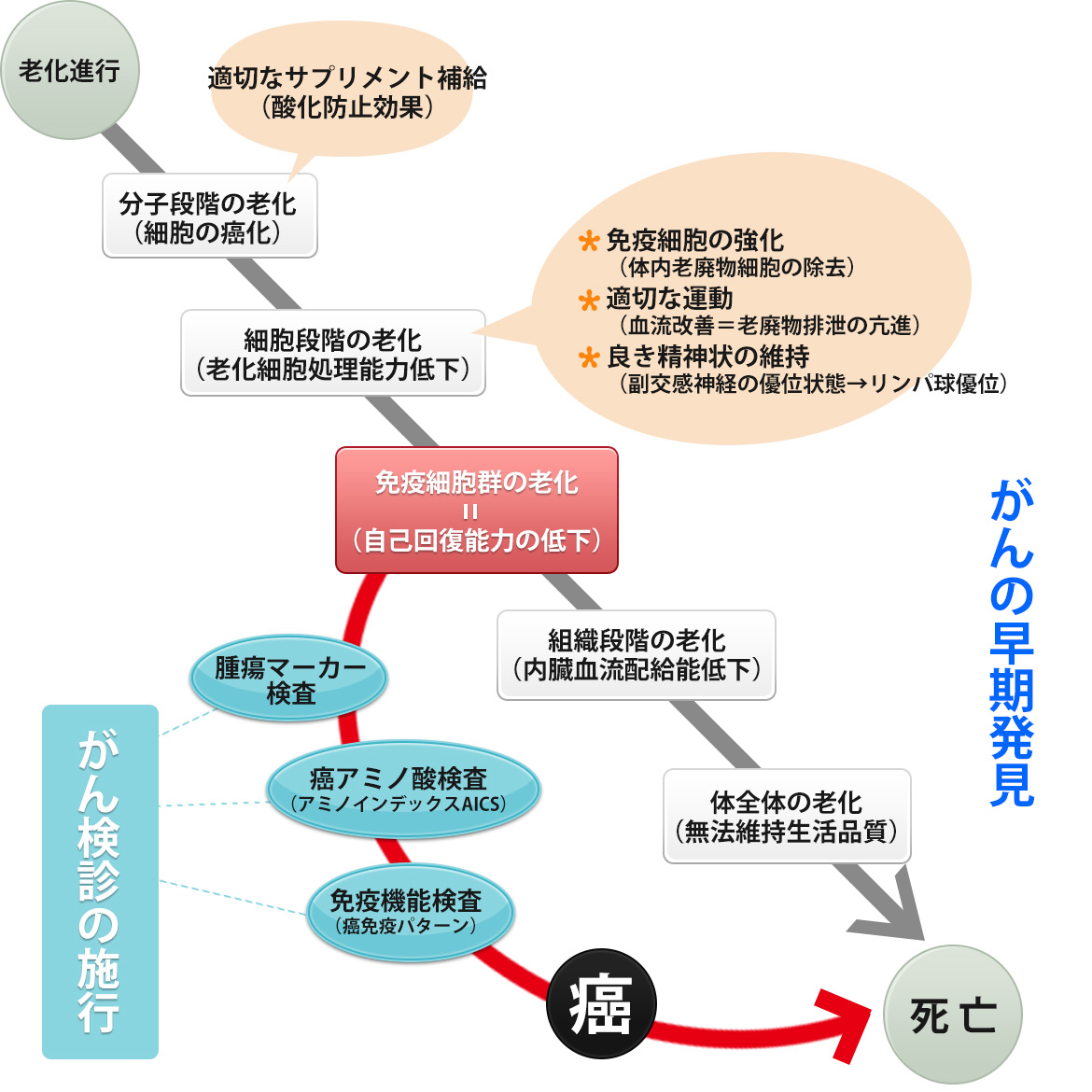 老化過程にがん検診の備え