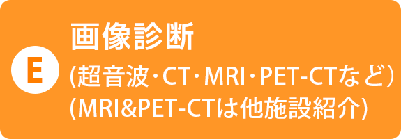 E)画像診断（超音波・CT・MRI・PET‐CTなど）（MRI＆PET‐CTは他施設紹介）