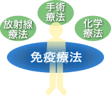 第四の治療法として注目される免疫療法