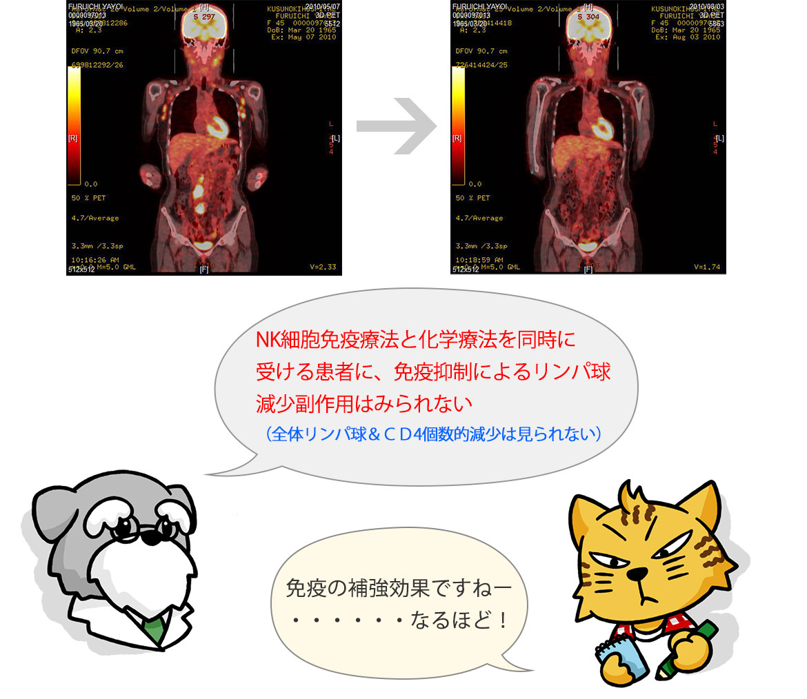 NK細胞の免疫役割について