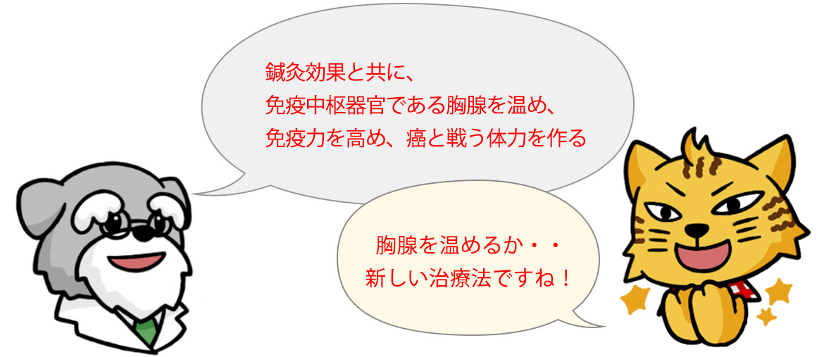 独特な免疫温熱療法(胸腺温熱)+鍼灸療法