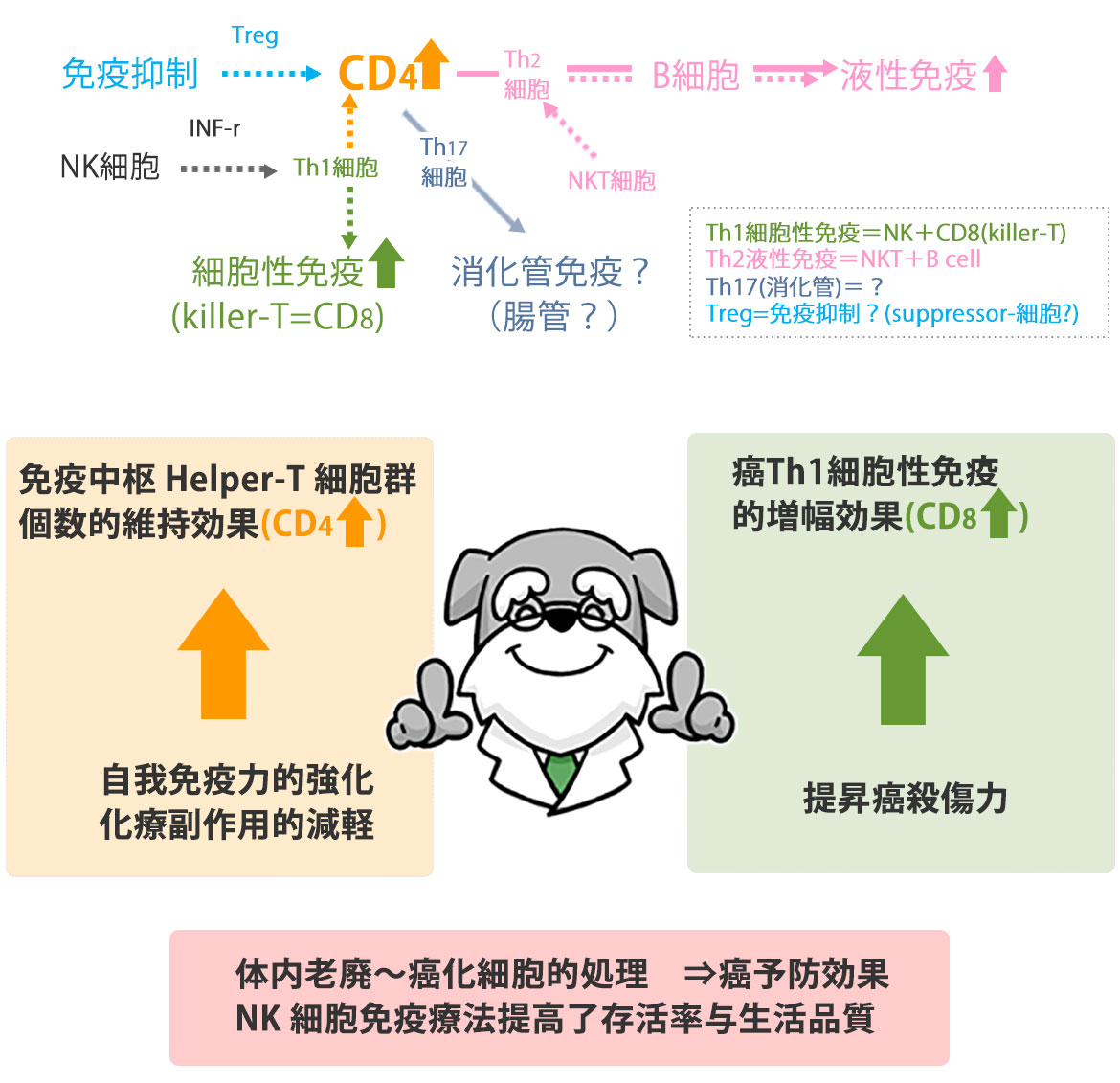 NK細胞在免疫系統中扮演的角色？