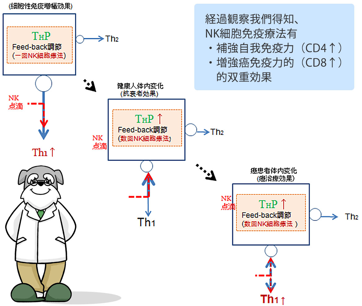 免疫調和=自我調節系統