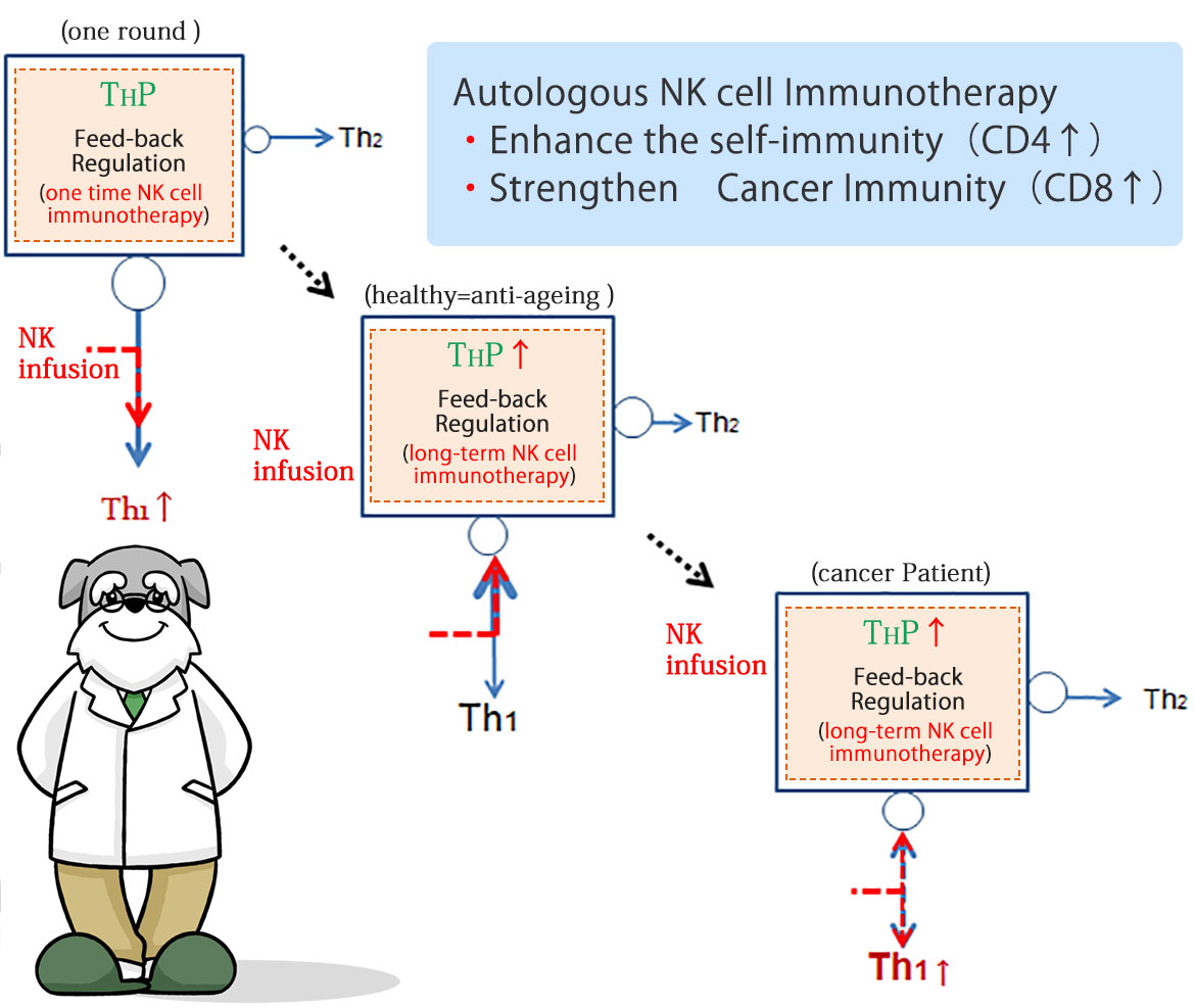 Immune-Harmony=self-regulation
