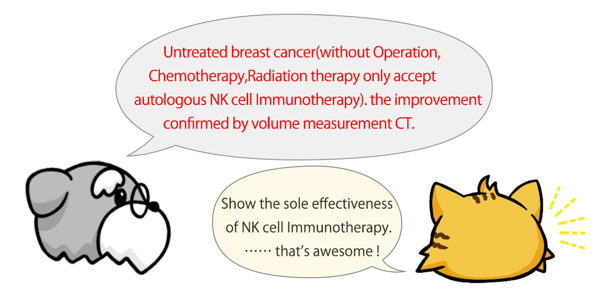 How does the NK Cell Immunotherapy  work in our immunity？