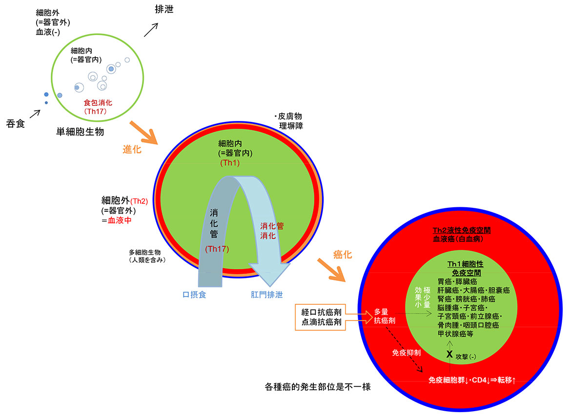 治療前確定癌的存在部位