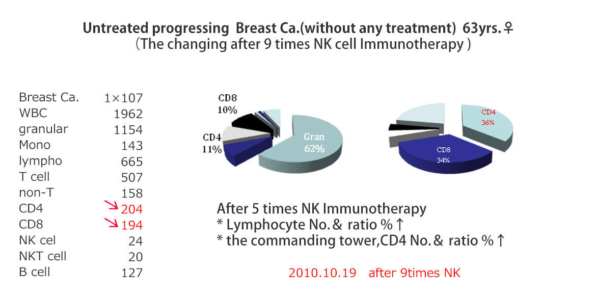 How does the NK Cell Immunotherapy  work in our immunity？
