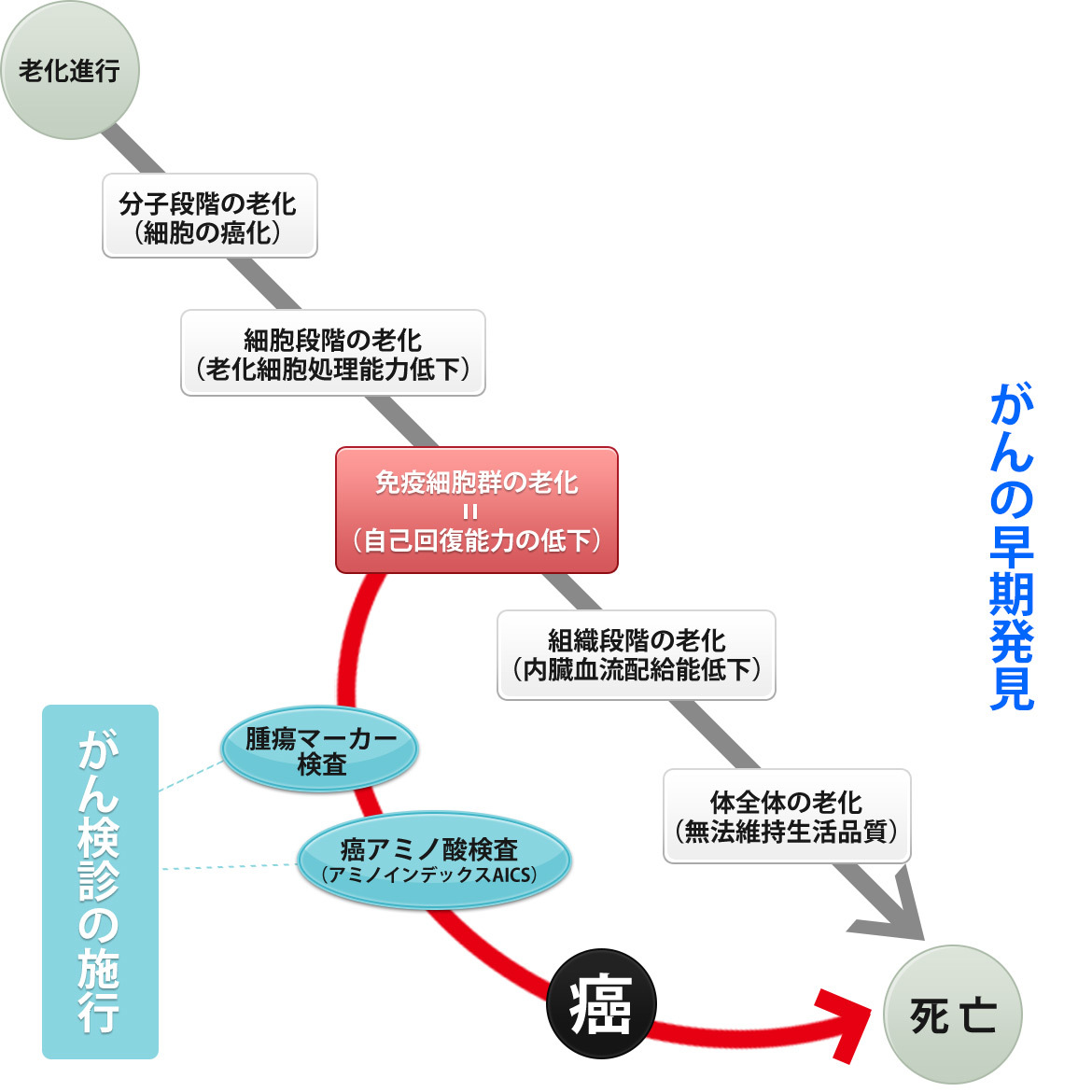 老化過程にがん検診の備え