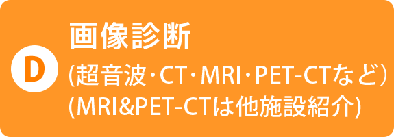 D))画像診断（超音波・CT・MRI・PET‐CTなど）（MRI＆PET‐CTは他施設紹介）